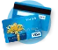 visa icon